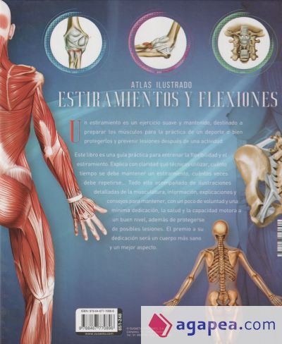 Atlas Ilustrado. Estiramientos y flexiones