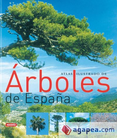 Atlas Ilustrado. Árboles de España