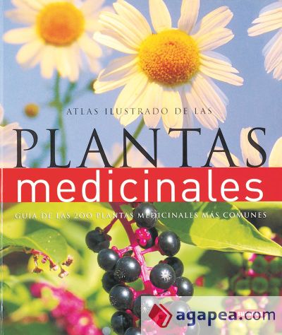 Atlas ilustrado de las plantas medicinales