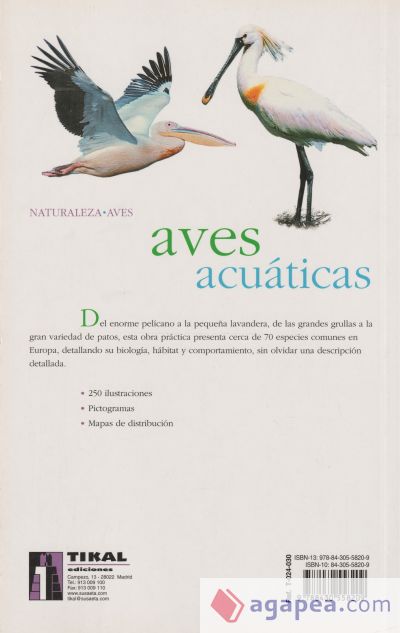 Aves acuáticas