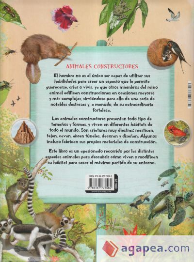 Biblioteca esencial. Animales constructores