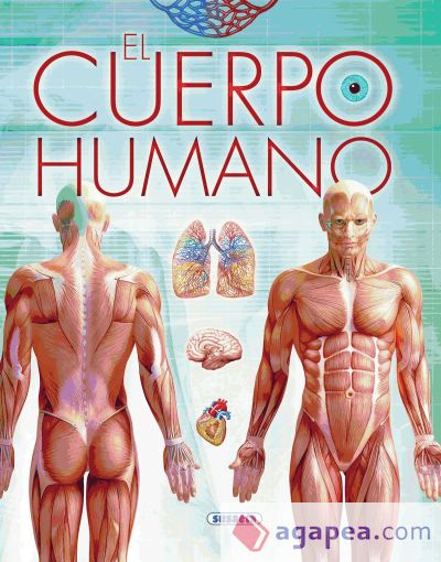 Biblioteca esencial. El cuerpo humano