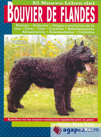 Bouvier de Flandes