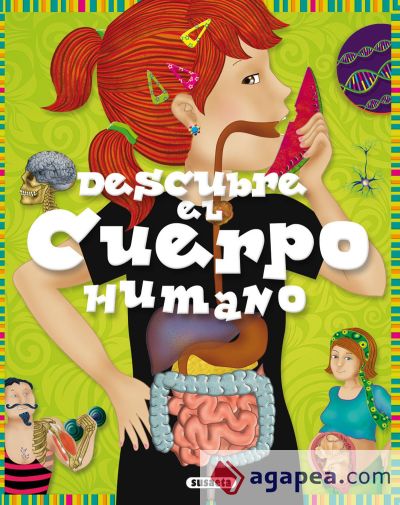 Descubre El Cuerpo Humano