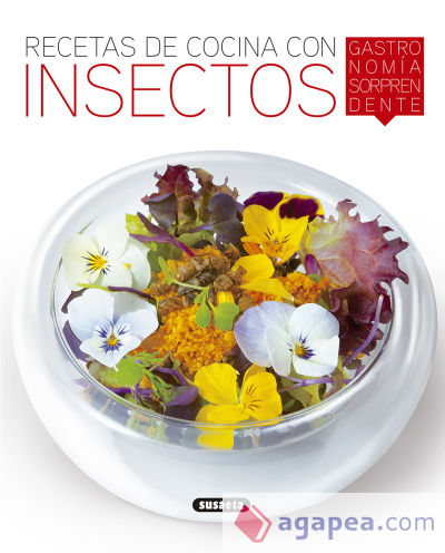 El Rincón Del Paladar. Recetas de cocina con insectos