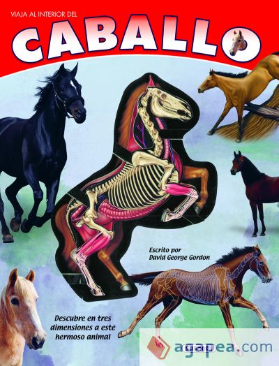 El caballo