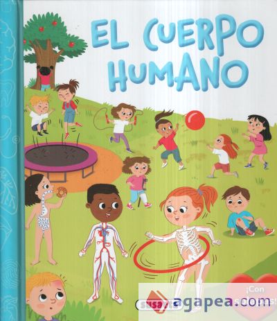 El cuerpo humano