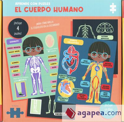 El cuerpo humano