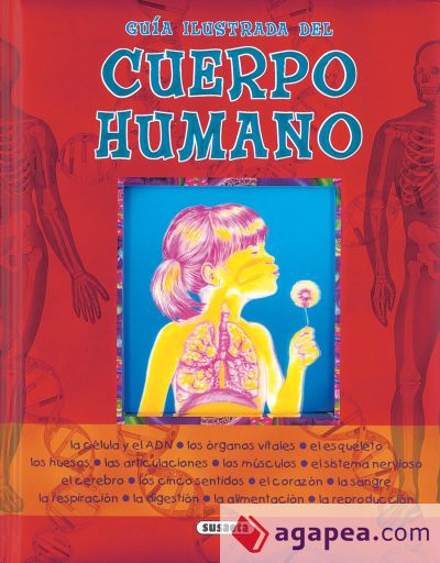 Guía ilustrada del cuerpo humano