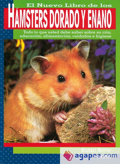 Hamsters dorado y enano