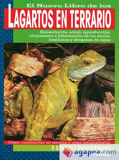 Lagartos en terrario