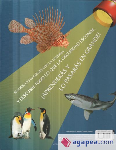 Libro linterna. Animales del mar