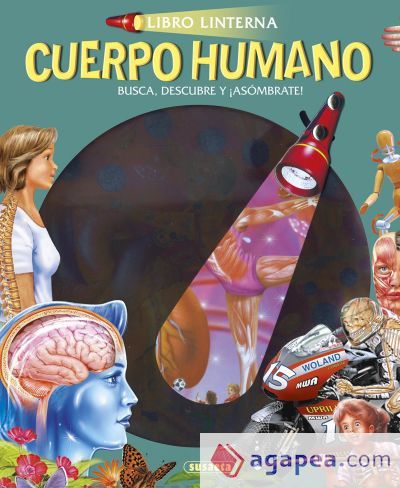Libro linterna. Cuerpo humano Libro linterna. Cuerpo humano