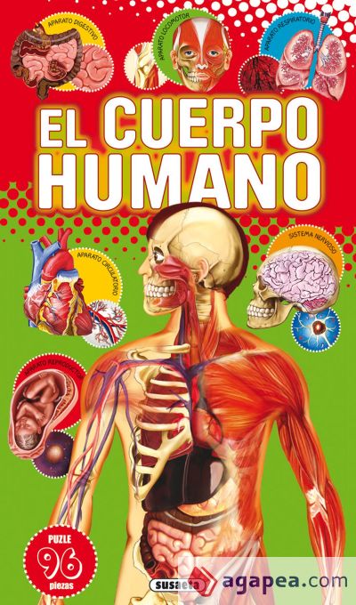 Libro puzle didáctico. El cuerpo humano