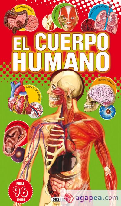 Libro puzle didáctico. El cuerpo humano