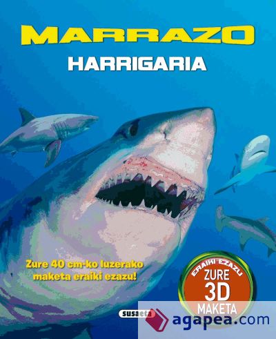 Marrazo harrigaria