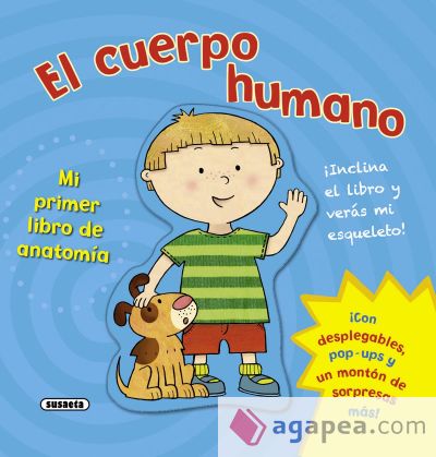 Mi primer libro de anatomía Mi primer libro de anatomía