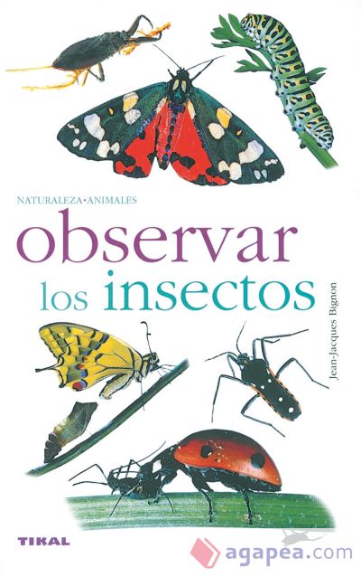 Observar los insectos