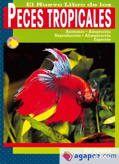 Peces tropicales