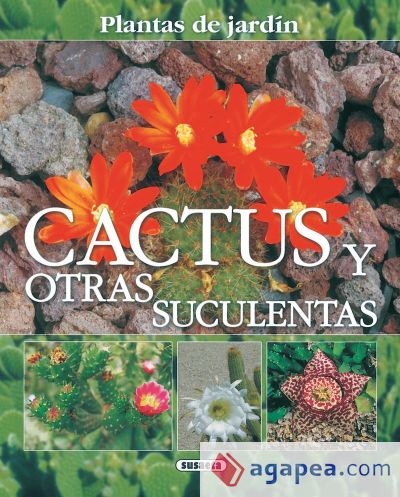 Plantas De Jardín. Cactus y otras suculentas