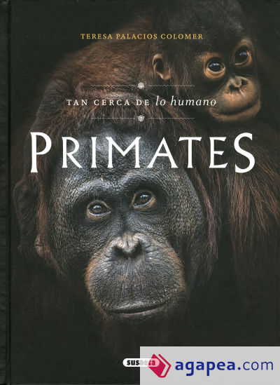 Primates. Tan cerca de lo humano