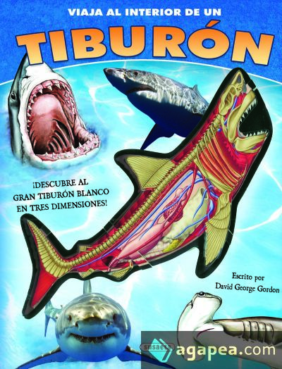 Tiburón