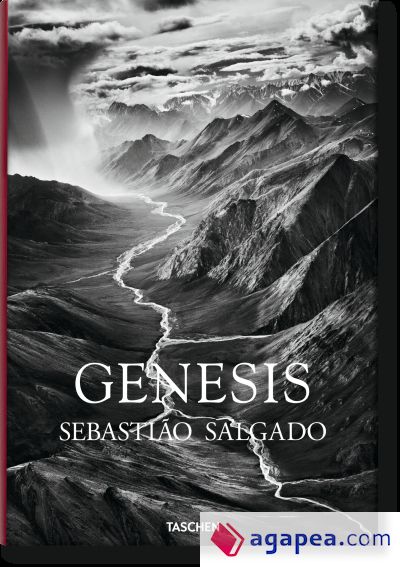 Salgado, Genesis