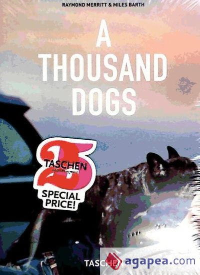 A THOUSAND DOGS (25 ANIVERSARIO) GB