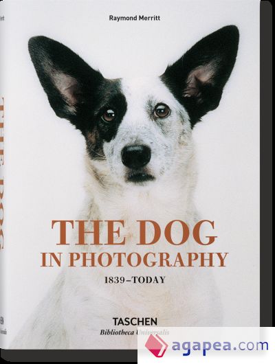 DOG IN PHOTOGRAPHY 1839 TODAY (AL/FR/IN)