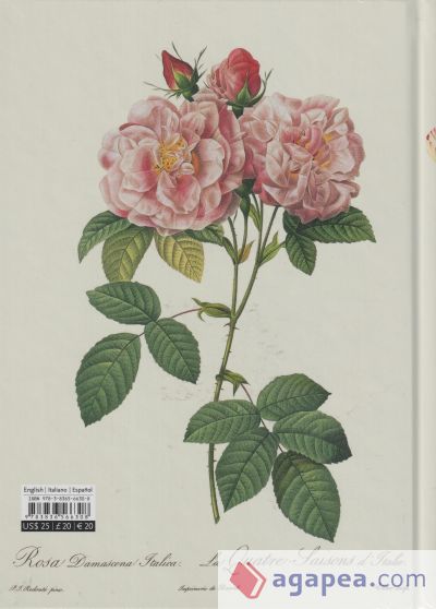 Pierre-Joseph Redouté. El libro de las flores 40