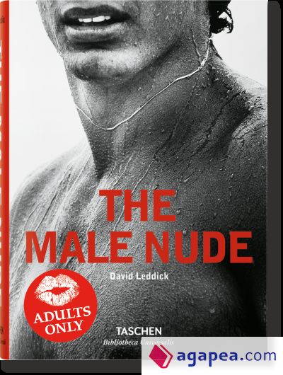 THE MALE NUDE