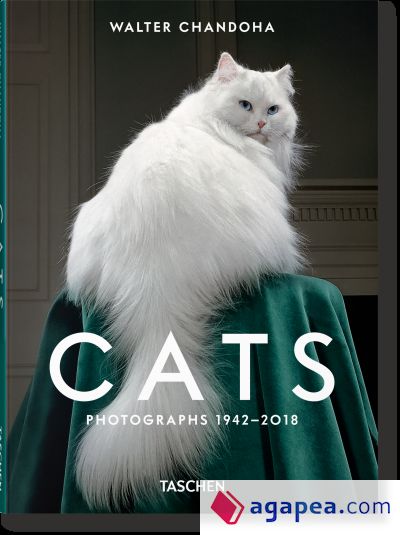 Walter Chandoha. Cats. Photographs 1942?2018