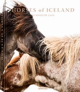 Portada de Horses of Iceland