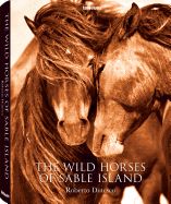 Portada de The Wild Horses of Sable Island