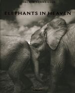 Portada de ELEPHANTS IN HEAVEN