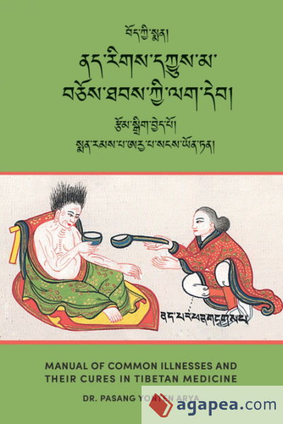 Manual of Common Illnesses and Their Cures in Tibetan Medicine (Nad rigs dkyus ma bcos thabs kyi lag deb)