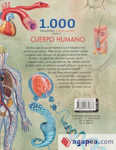 1000 PREGUNTAS Y RESPUESTAS SOBRE EL CUERPO HUMANO 1000 PREGUNTAS Y RESPUESTAS SOBRE EL CUERPO HUMANO