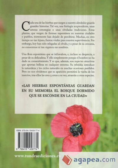 BOTANICA CERCANA. LAS HIERBAS COMUNES DE LOS PUEBLOS Y CIUDADES