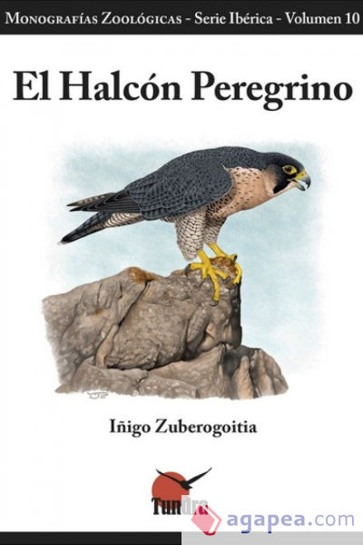 EL HALCON PEREGRINO