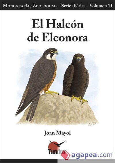 El halcón de Eleonora El halcón de Eleonora