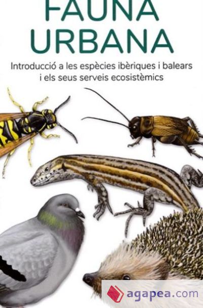 Fauna urbana: Introducció a les espècies ibèriques i balears i els seus serveis ecosistèmics