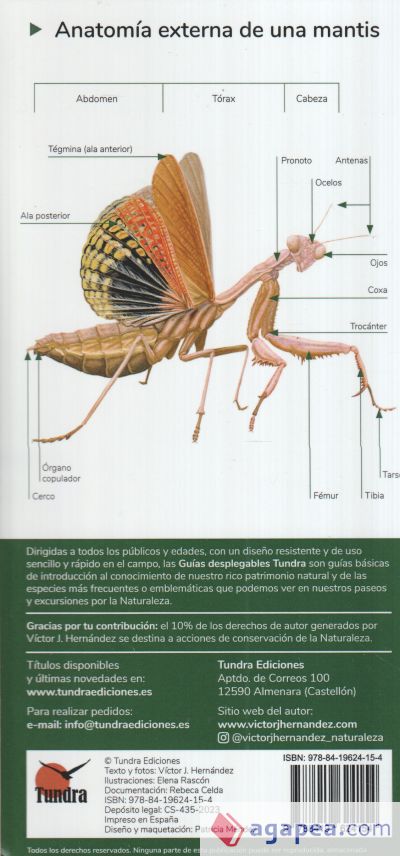 Mantis. Guias desplegables tundra