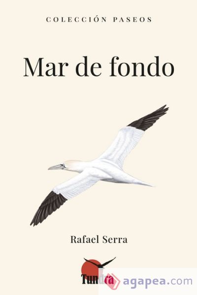 Mar de fondo