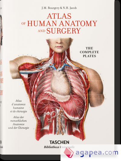 Bourgery. Atlas der menschlichen Anatomie und der Chirurgie