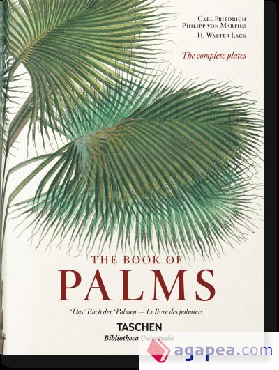 El libro de las palmeras