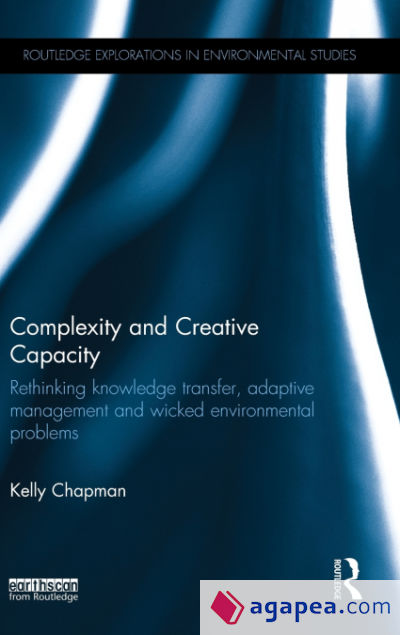 Complexity and Creative Capacity