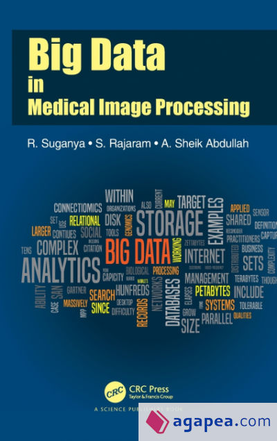 Big Data in Medical Image Processing