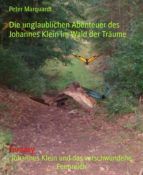 Portada de Teil 3 Johannes Klein und das verschwundene Feenreich (Ebook)