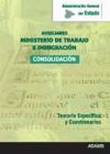 Temario y Cuestionarios Específicos Ministerio de Trabajo e Inmigración. Cuerpo General Auxiliar de la Administración del Estado. Consolidación.