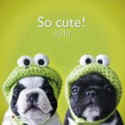 Portada de Calendario de pared 2014: So Cute